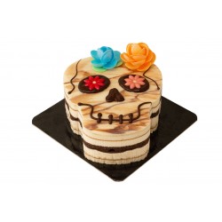 PASTEL CATRINA 500 GR.