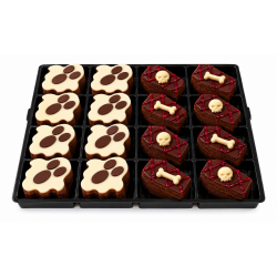 PASTELITOS SCARY BOX 16 UDS